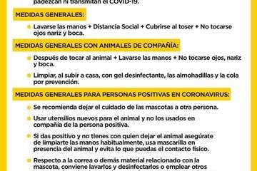 Acciones permitidas con las mascotas durante el estado de alarma (Foto TA)